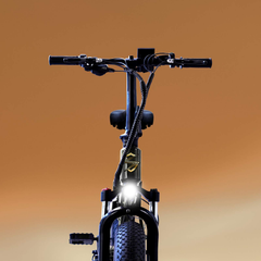 Gold Plated SVITCH